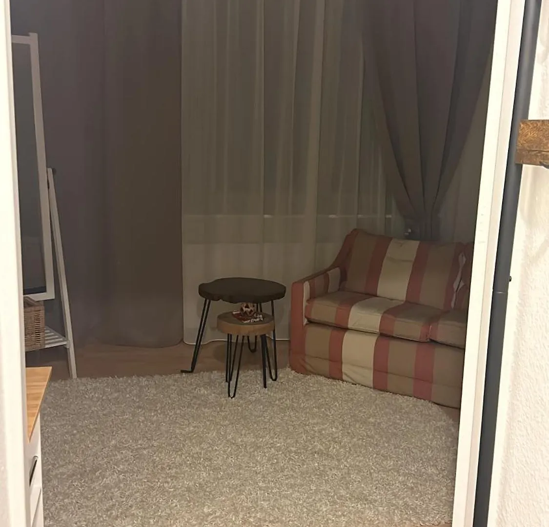 Cosy One Room Apartment In The Heart Of Frankfurt City 美因河畔法兰克福
